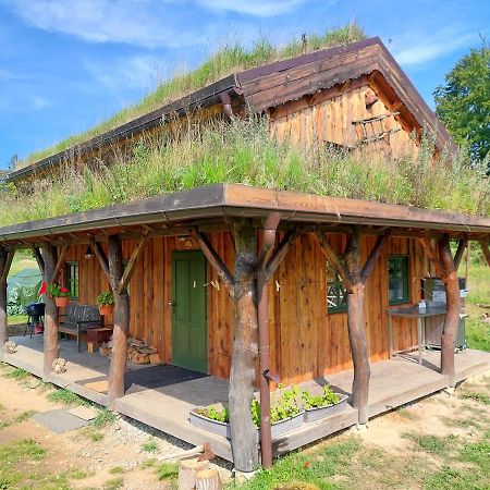 Chalet Boruvka - Biofarma Na Samote V Lesich Benesov  المظهر الخارجي الصورة