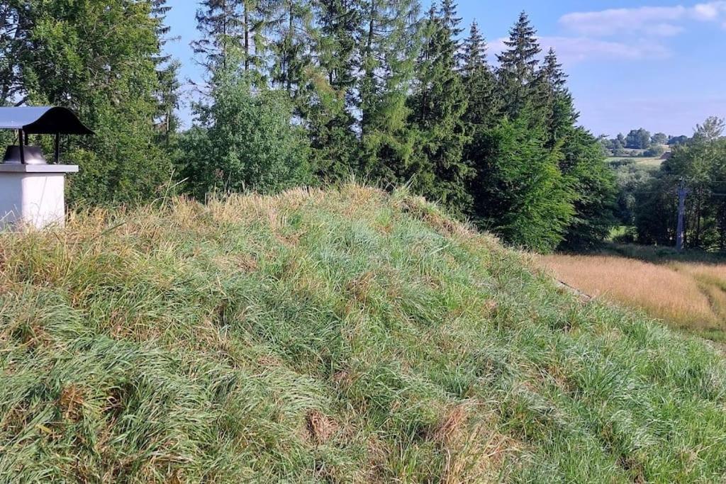 Chalet Boruvka - Biofarma Na Samote V Lesich Benesov  المظهر الخارجي الصورة