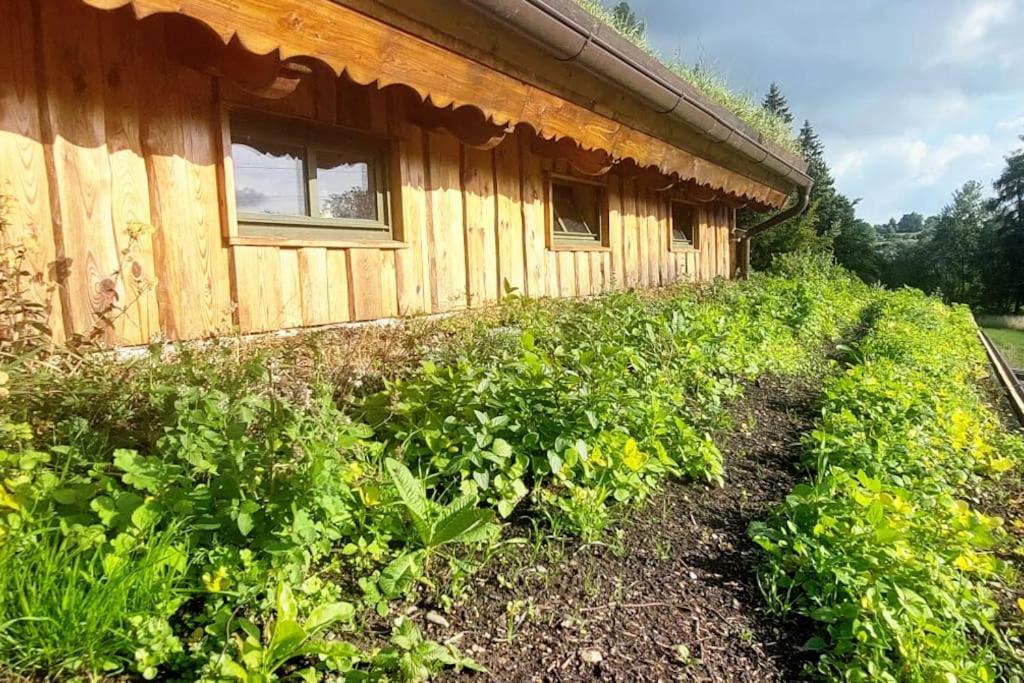 Chalet Boruvka - Biofarma Na Samote V Lesich Benesov  المظهر الخارجي الصورة