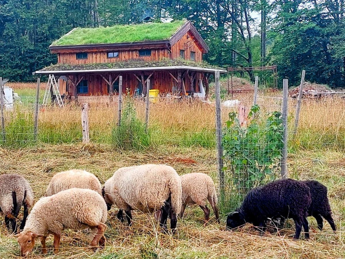 Chalet Boruvka - Biofarma Na Samote V Lesich Benesov  المظهر الخارجي الصورة
