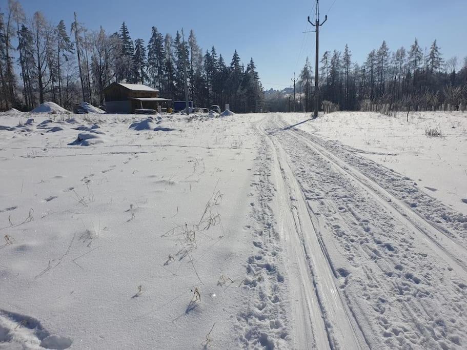 Chalet Boruvka - Biofarma Na Samote V Lesich Benesov  المظهر الخارجي الصورة