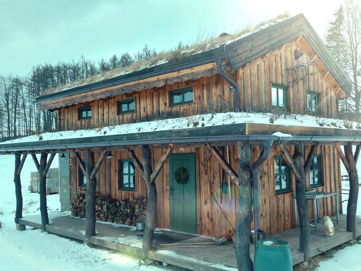 Chalet Boruvka - Biofarma Na Samote V Lesich Benesov  المظهر الخارجي الصورة