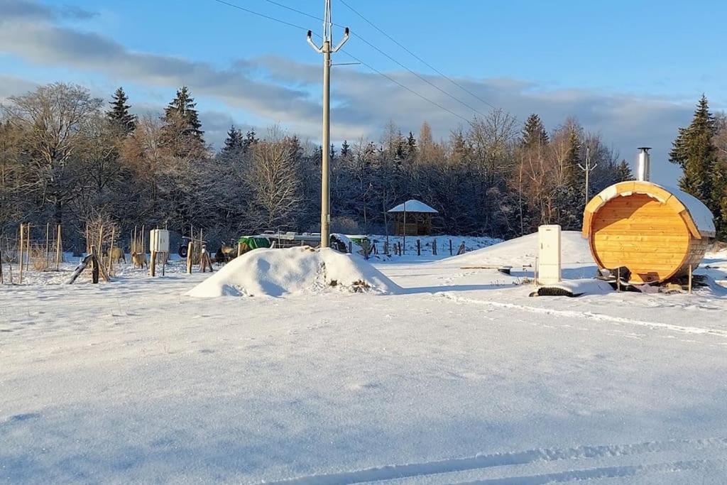 Chalet Boruvka - Biofarma Na Samote V Lesich Benesov  المظهر الخارجي الصورة