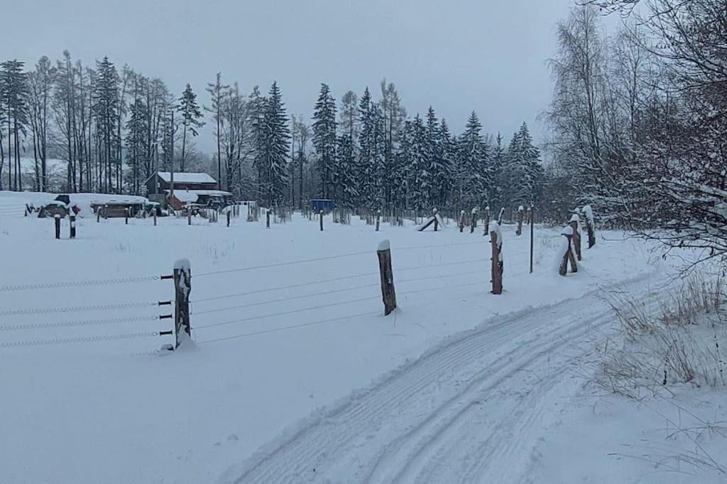 Chalet Boruvka - Biofarma Na Samote V Lesich Benesov  المظهر الخارجي الصورة