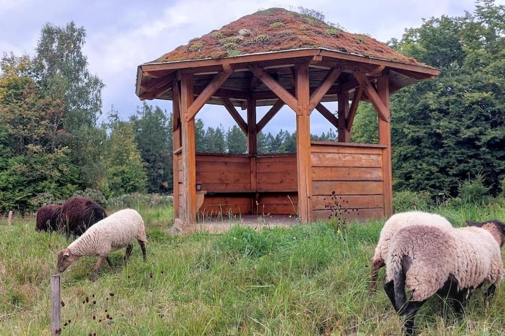 Chalet Boruvka - Biofarma Na Samote V Lesich Benesov  المظهر الخارجي الصورة