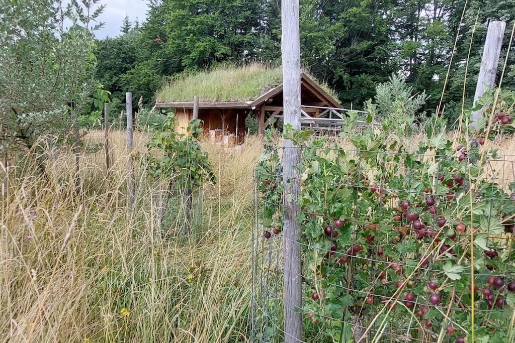 Chalet Boruvka - Biofarma Na Samote V Lesich Benesov  المظهر الخارجي الصورة