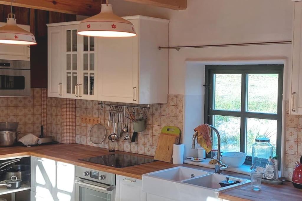Chalet Boruvka - Biofarma Na Samote V Lesich Benesov  المظهر الخارجي الصورة