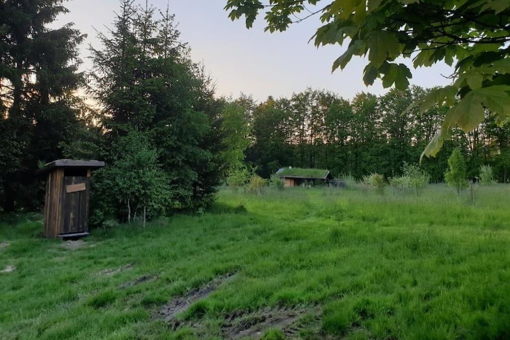 Chalet Boruvka - Biofarma Na Samote V Lesich Benesov  المظهر الخارجي الصورة