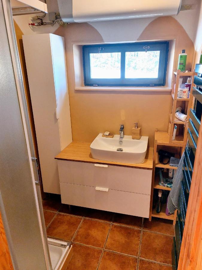 Chalet Boruvka - Biofarma Na Samote V Lesich Benesov  المظهر الخارجي الصورة