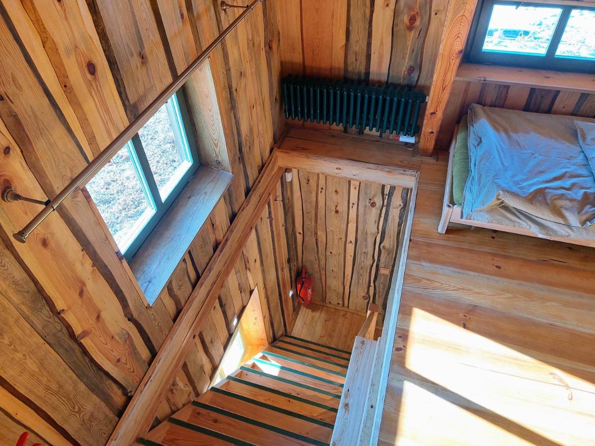 Chalet Boruvka - Biofarma Na Samote V Lesich Benesov  المظهر الخارجي الصورة