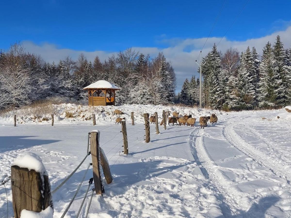 Chalet Boruvka - Biofarma Na Samote V Lesich Benesov  المظهر الخارجي الصورة